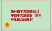 铁岭西丰灵芝基地(辽宁西丰灵芝基地：探寻养生佳品的原乡)