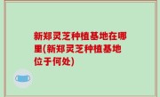 新郑灵芝种植基地在哪里(新郑灵芝种植基地位于何处)