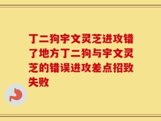 丁二狗宇文灵芝进攻错了地方丁二狗与宇文灵芝的错误进攻差点招致失败