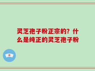 灵芝孢子粉正宗的？什么是纯正的灵芝孢子粉