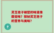 灵芝孢子破壁的味道像蘑菇味？探秘灵芝孢子的营养与美味？