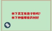 林下灵芝有孢子粉吗？林下种植哪些药材好