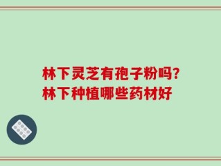 林下灵芝有孢子粉吗？林下种植哪些药材好