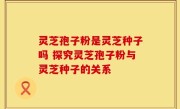 灵芝孢子粉是灵芝种子吗 探究灵芝孢子粉与灵芝种子的关系