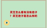 灵芝怎么看有没有孢子？灵芝孢子是怎么样的