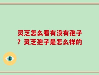 灵芝怎么看有没有孢子？灵芝孢子是怎么样的