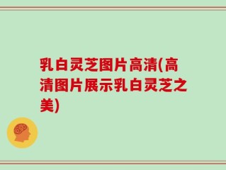 乳白灵芝图片高清(高清图片展示乳白灵芝之美)
