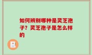 如何辨别哪种是灵芝孢子？灵芝孢子是怎么样的