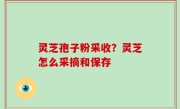 灵芝孢子粉采收？灵芝怎么采摘和保存