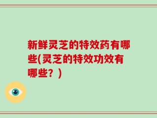 新鲜灵芝的特效药有哪些(灵芝的特效功效有哪些？)