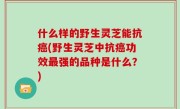 什么样的野生灵芝能抗癌(野生灵芝中抗癌功效最强的品种是什么？)