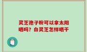 灵芝孢子粉可以拿太阳晒吗？白灵芝怎样晒干