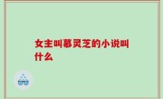 女主叫慕灵芝的小说叫什么