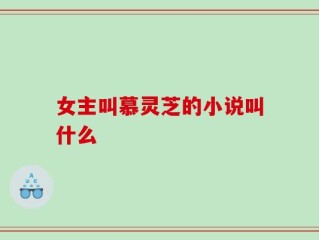 女主叫慕灵芝的小说叫什么