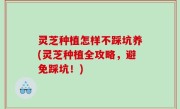 灵芝种植怎样不踩坑养(灵芝种植全攻略，避免踩坑！)