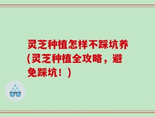 灵芝种植怎样不踩坑养(灵芝种植全攻略，避免踩坑！)