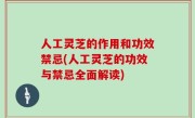 人工灵芝的作用和功效禁忌(人工灵芝的功效与禁忌全面解读)