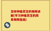 怎样种植灵芝的视频讲解(学习种植灵芝的简易视频指南)