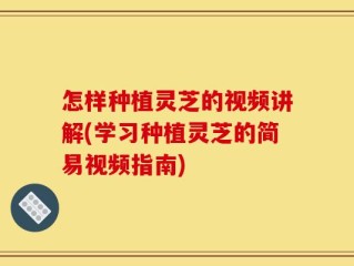 怎样种植灵芝的视频讲解(学习种植灵芝的简易视频指南)