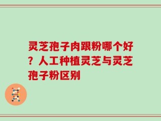 灵芝孢子肉跟粉哪个好？人工种植灵芝与灵芝孢子粉区别
