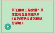 灵芝菌丝三萜含量？灵芝三萜含量高达5.66克的灵芝应该怎样进行深加工