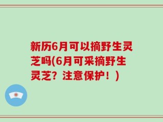 新历6月可以摘野生灵芝吗(6月可采摘野生灵芝？注意保护！)