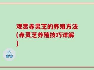 观赏赤灵芝的养殖方法(赤灵芝养殖技巧详解)