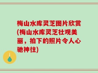 梅山水库灵芝图片欣赏(梅山水库灵芝壮观美丽，拍下的照片令人心驰神往)