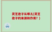 灵芝孢子从哪儿(灵芝孢子的来源和作用？)