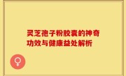 灵芝孢子粉胶囊的神奇功效与健康益处解析