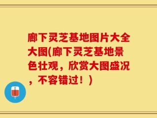 廊下灵芝基地图片大全大图(廊下灵芝基地景色壮观，欣赏大图盛况，不容错过！)