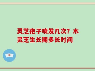 灵芝孢子喷发几次？木灵芝生长期多长时间