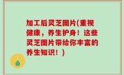 加工后灵芝图片(重视健康，养生护身！这些灵芝图片带给你丰富的养生知识！)