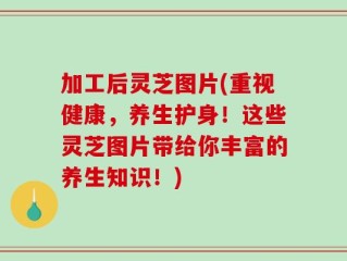 加工后灵芝图片(重视健康，养生护身！这些灵芝图片带给你丰富的养生知识！)