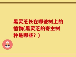 黑灵芝长在哪些树上的植物(黑灵芝的寄主树种是哪些？)