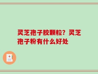 灵芝孢子胶颗粒？灵芝孢子粉有什么好处