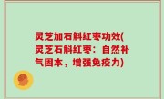 灵芝加石斛红枣功效(灵芝石斛红枣：自然补气固本，增强免疫力)