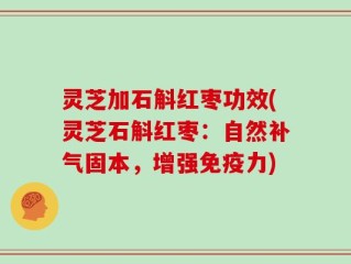 灵芝加石斛红枣功效(灵芝石斛红枣：自然补气固本，增强免疫力)