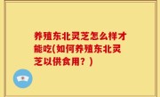 养殖东北灵芝怎么样才能吃(如何养殖东北灵芝以供食用？)