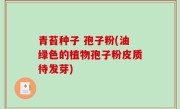 青苔种子 孢子粉(油绿色的植物孢子粉皮质待发芽)
