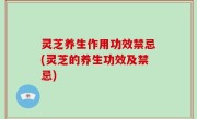 灵芝养生作用功效禁忌(灵芝的养生功效及禁忌)