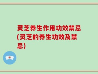 灵芝养生作用功效禁忌(灵芝的养生功效及禁忌)