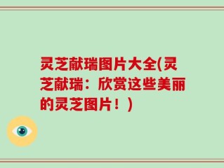 灵芝献瑞图片大全(灵芝献瑞：欣赏这些美丽的灵芝图片！)