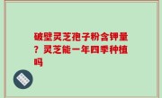 破壁灵芝孢子粉含钾量？灵芝能一年四季种植吗