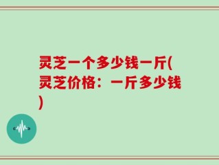 灵芝一个多少钱一斤(灵芝价格：一斤多少钱)