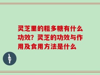 灵芝里的粗多糖有什么功效？灵芝的功效与作用及食用方法是什么