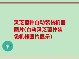 灵芝菌种自动装袋机器图片(自动灵芝菌种装袋机器图片展示)