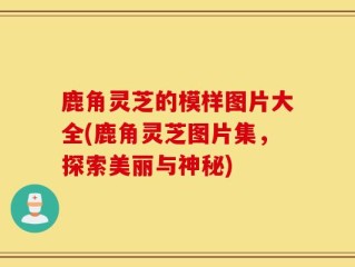 鹿角灵芝的模样图片大全(鹿角灵芝图片集，探索美丽与神秘)
