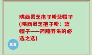 陕西灵芝孢子粉蓝帽子(陕西灵芝孢子粉：蓝帽子——药膳养生的必选之选)