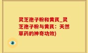 灵芝孢子粉和黄芪_灵芝孢子粉与黄芪：天然草药的神奇功效)